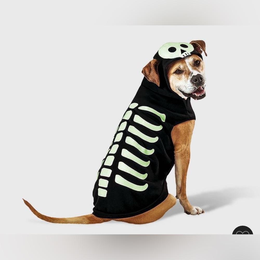 Boots & Barkley Glow-in-the-Dark Skeleton Dog Costume - Black and Cream